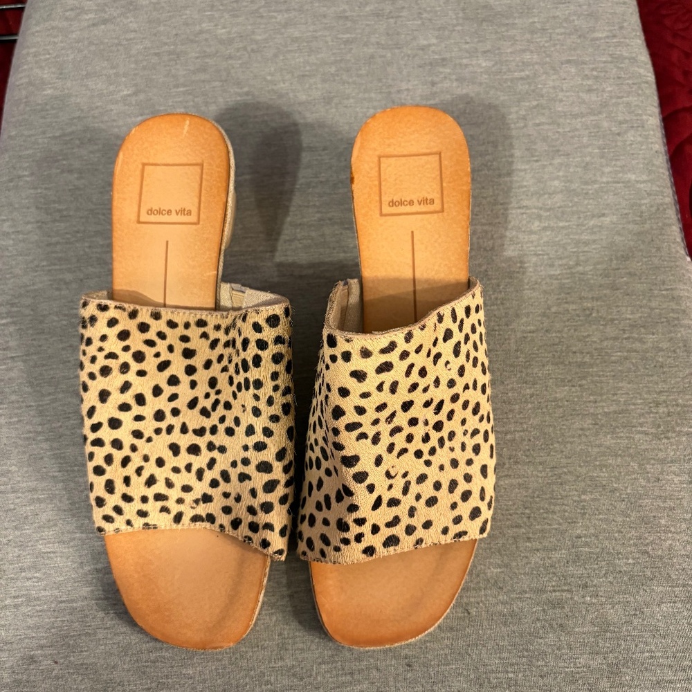 Dolce Vita Shoes